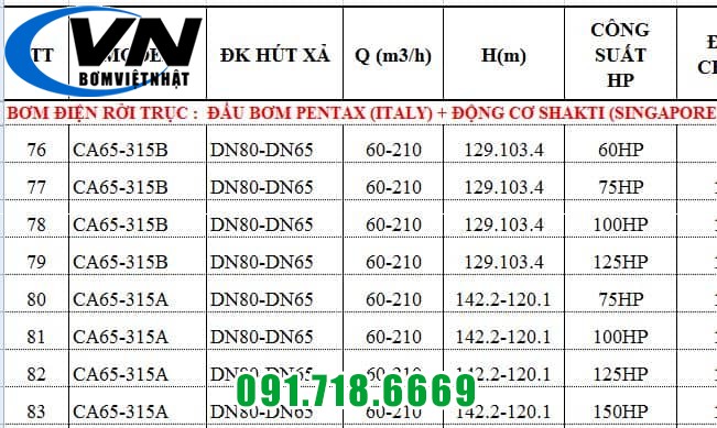 MÁY BƠM CHỮA CHÁY PENTAX ĐỘNG CƠ ĐIỆN SHAKTI CA65-315A 5