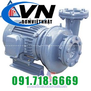 Máy bơm ly tâm dạng xoáy đầu gang NTP HVP 1