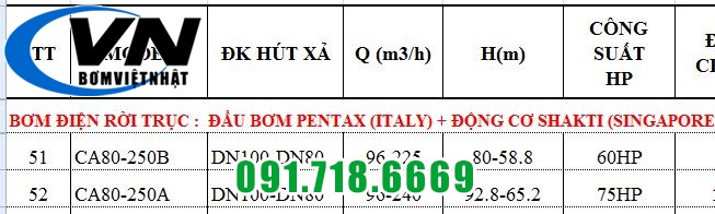 MÁY BƠM CHỮA CHÁY PENTAX ĐỘNG CƠ ĐIỆN SHAKTI CA80-250A 5