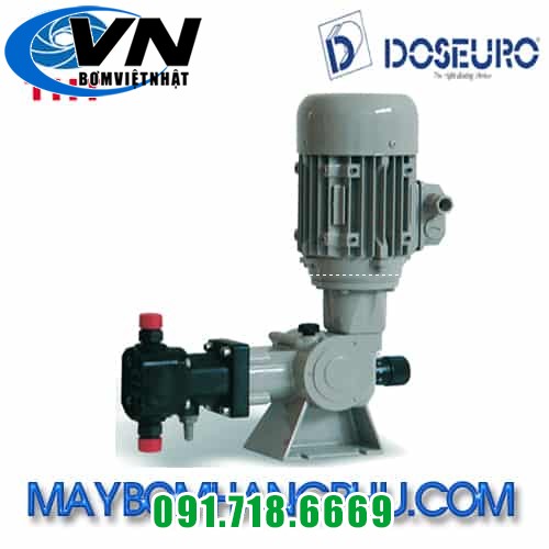 MÁY BƠM ĐỊNH LƯỢNG KIỂU MÀNG CƠ KHÍ DOSEURO TYPE D 050N-50/C-13 2