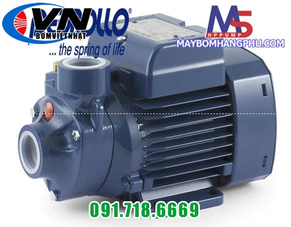 BƠM NỒI HƠI PEDROLLO (Cánh Đồng) PKm60 0.5HP