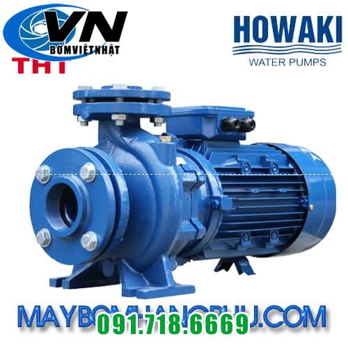 MÁY BƠM CÔNG NGHIỆP ĐẦU GANG HOWAKI CM 50-250B 2