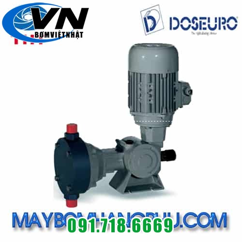 MÁY BƠM ĐỊNH LƯỢNG KIỂU MÀNG CƠ KHÍ DOSEURO TYPE D 101N-105/F-13 2