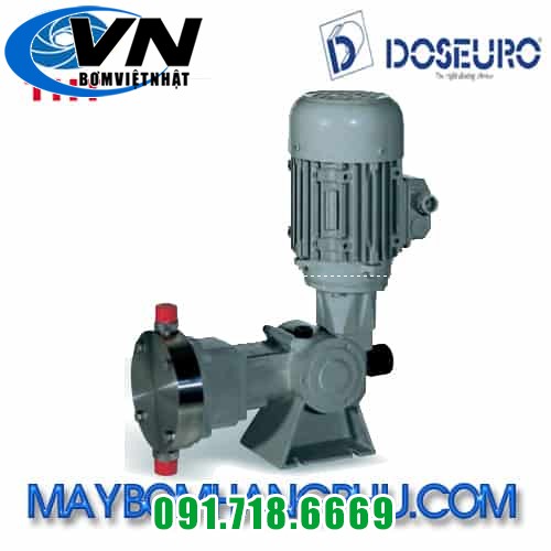 MÁY BƠM ĐỊNH LƯỢNG KIỂU MÀNG CƠ KHÍ DOSEURO TYPE D 100N-90/C-13 2